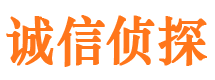 夏邑市私家侦探